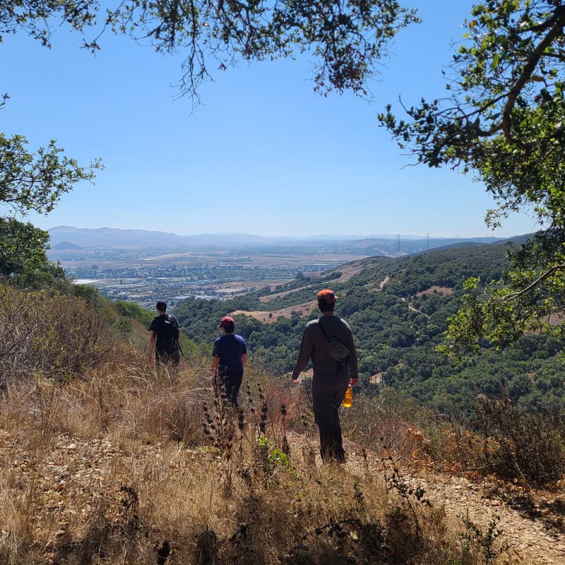 Cover Image for Challenge Hike: Angeles National Forest - California
