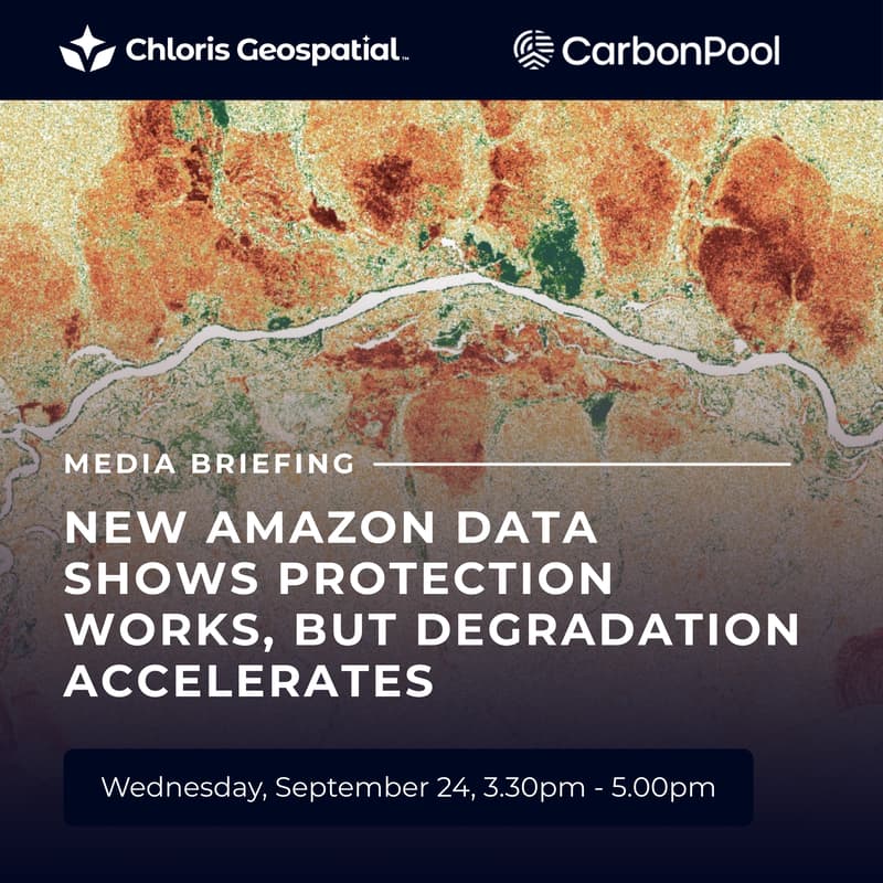 Cover Image for MEDIA BRIEFING:  New Amazon Data Shows Protection Works, But Degradation Accelerates