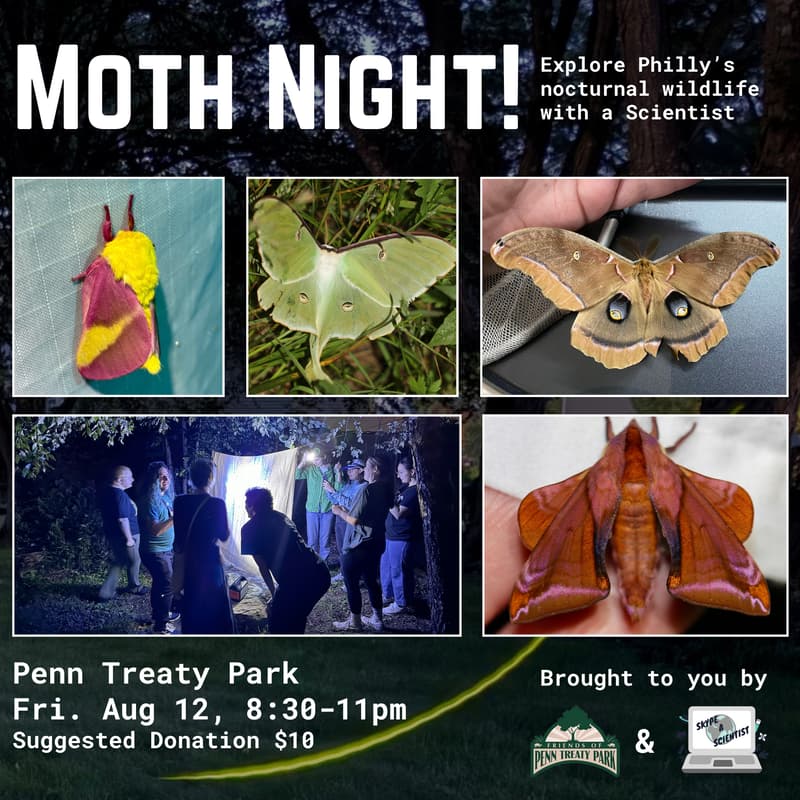 Cover Image for Moth Night at Penn Treaty Park Aug 12