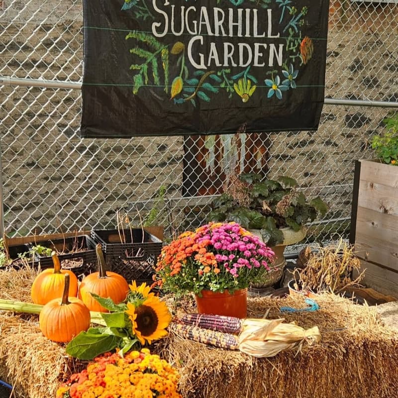 Cover Image for Meetup at Sugar Hill Garden Tuesday Night