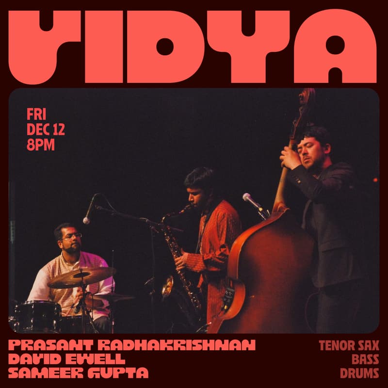 Cover Image for Music at York St. — VidyA