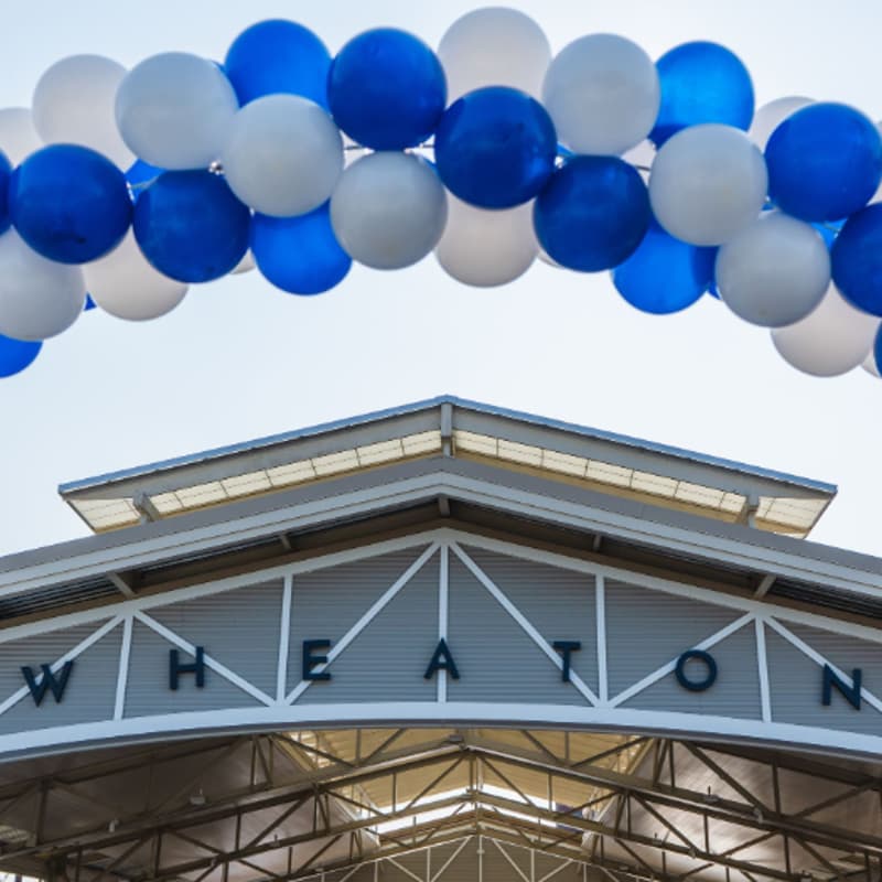 Cover Image for Idealist Days in Wheaton