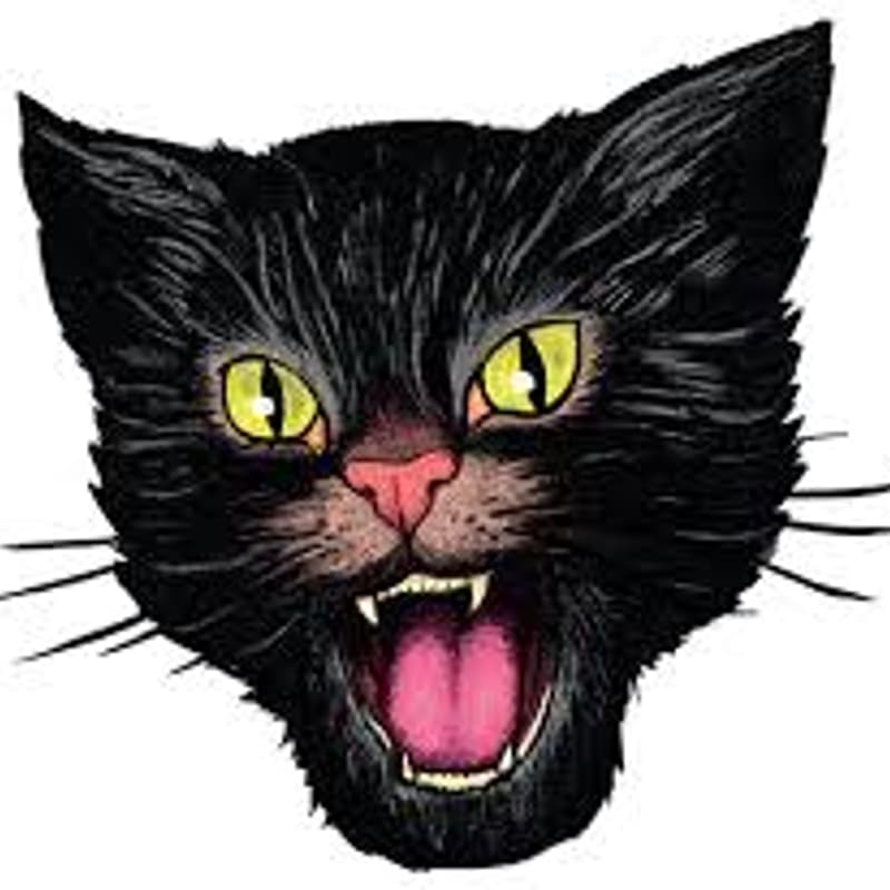 Cover Image for Kattenbak op Sniester