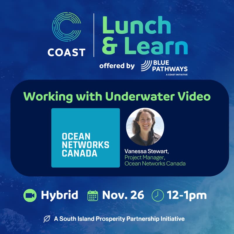 Cover Image for COAST Lunch and Learn: Working with Underwater Video