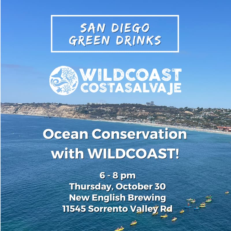 Cover Image for Ocean Conservation with WILDCOAST!