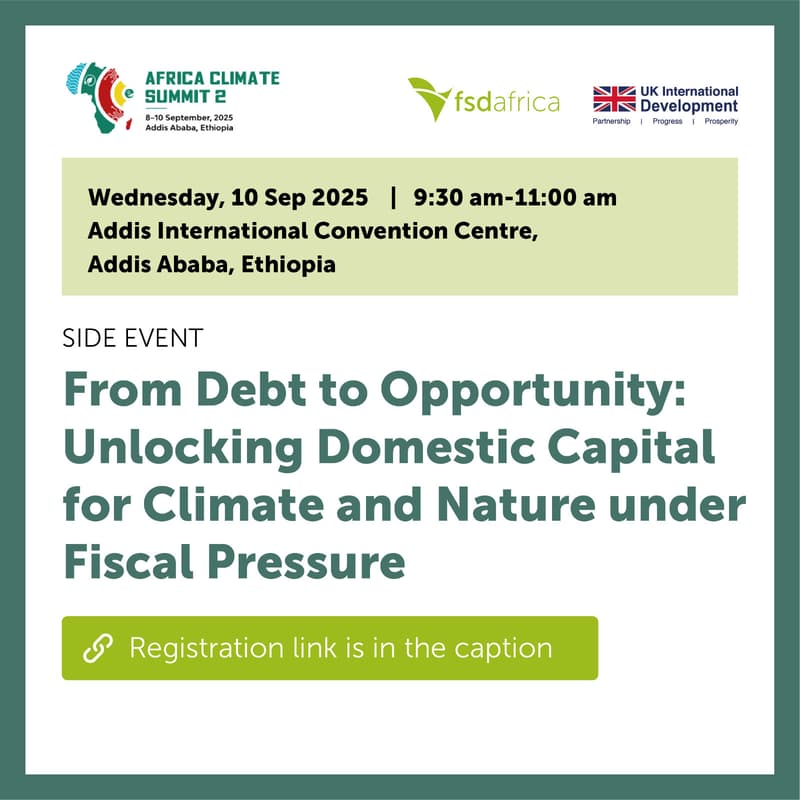 Cover Image for From Debt to Opportunity: Unlocking Domestic Capital for Climate and Nature under Fiscal Pressure’