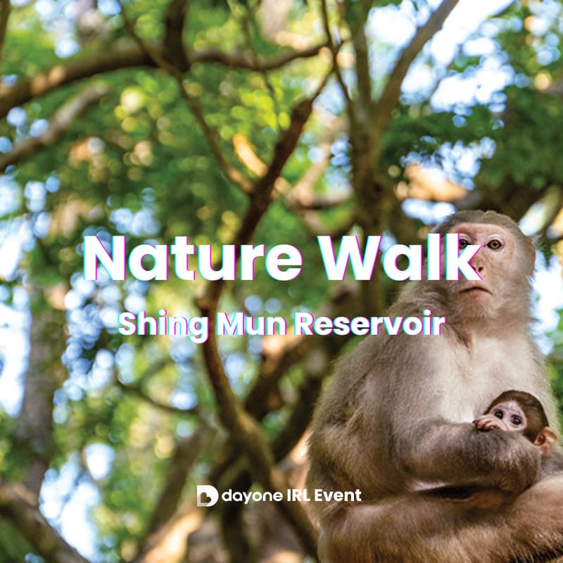 Cover Image for 🌿🐵 Nature Walk at Shing Mun Reservoir Loop