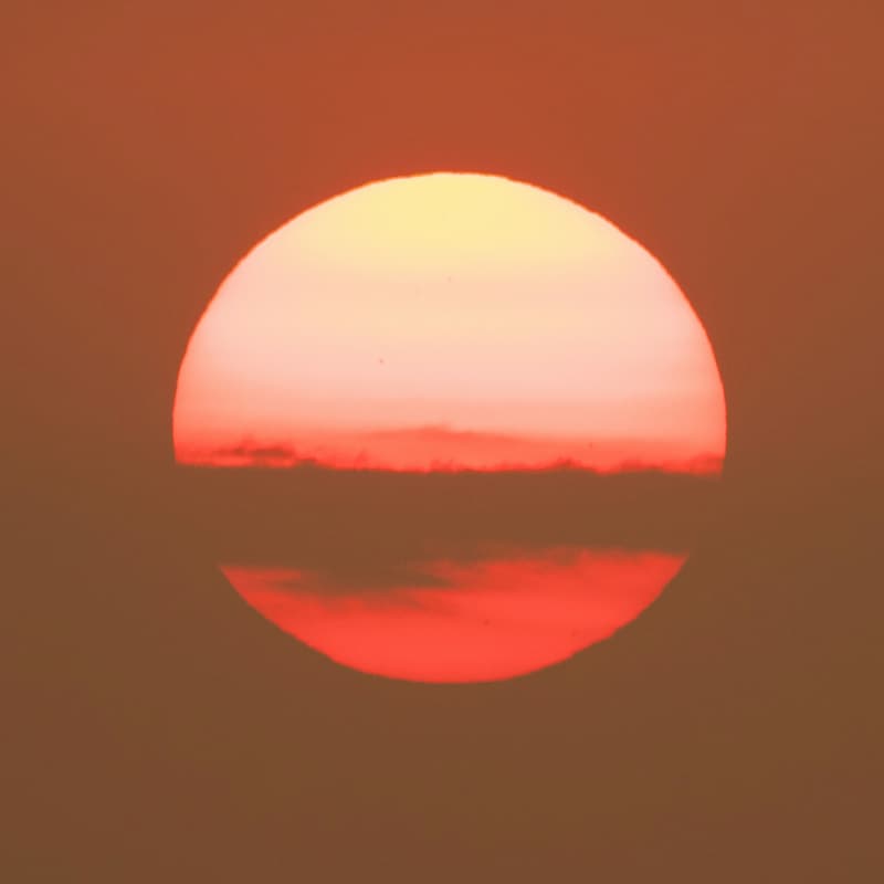 Cover Image for Blood Meridian: Close-Reading the Anti-Western