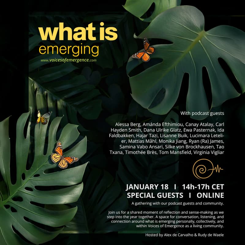 Cover Image for What Is Emerging