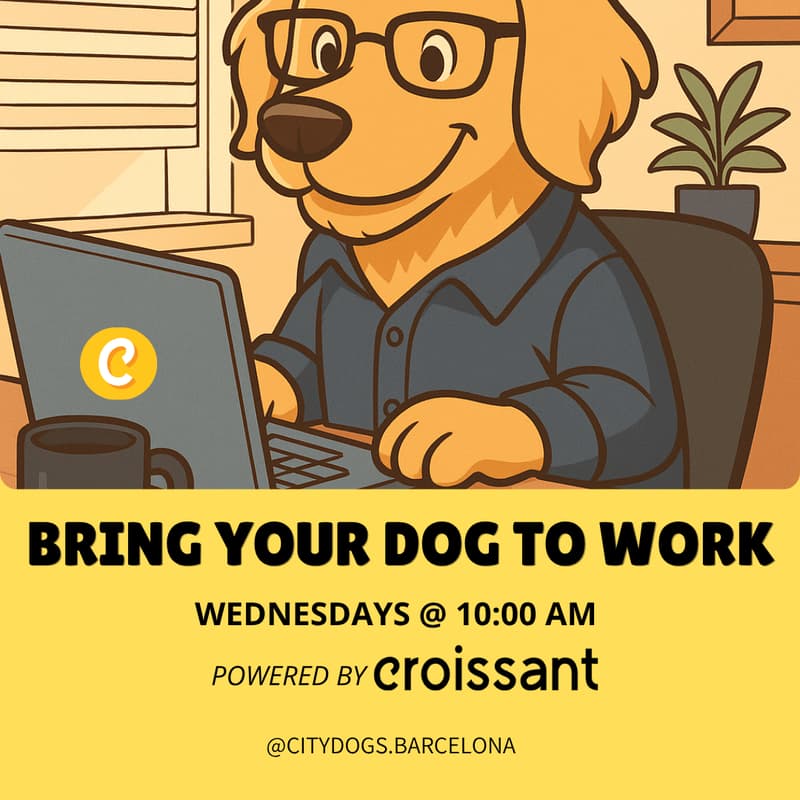 Cover Image for Dog-Friendly Co-Working | Powered by Croissant