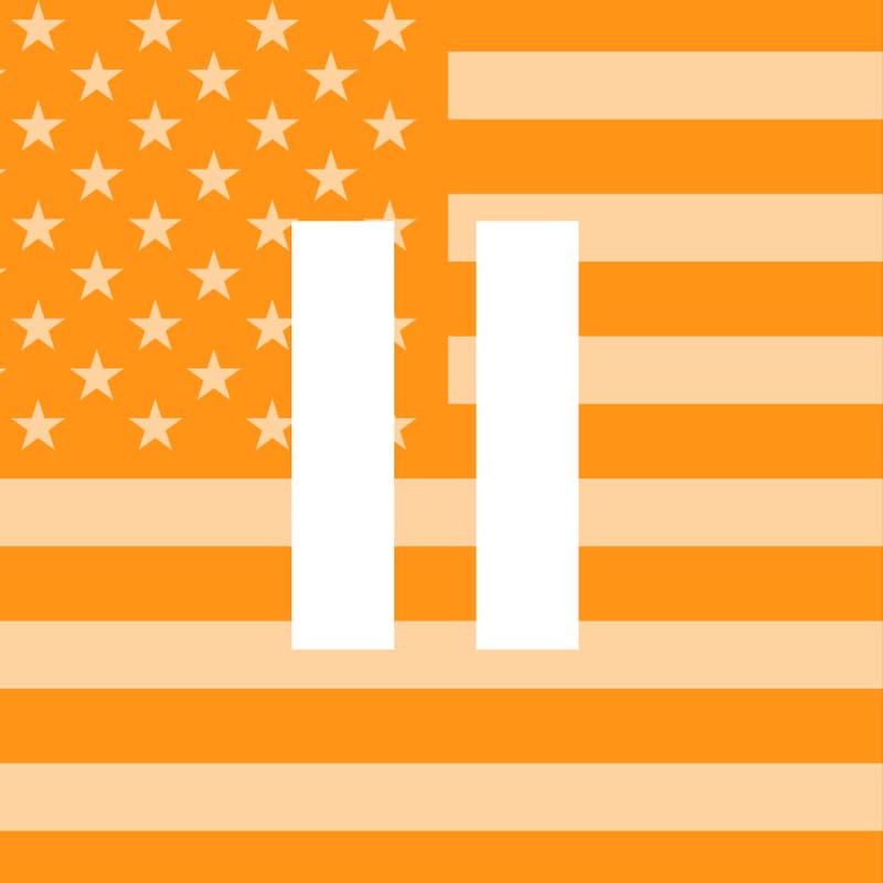 Cover Image for PauseAI US February Webinar: Federal AI Regulation and Bipartisanship