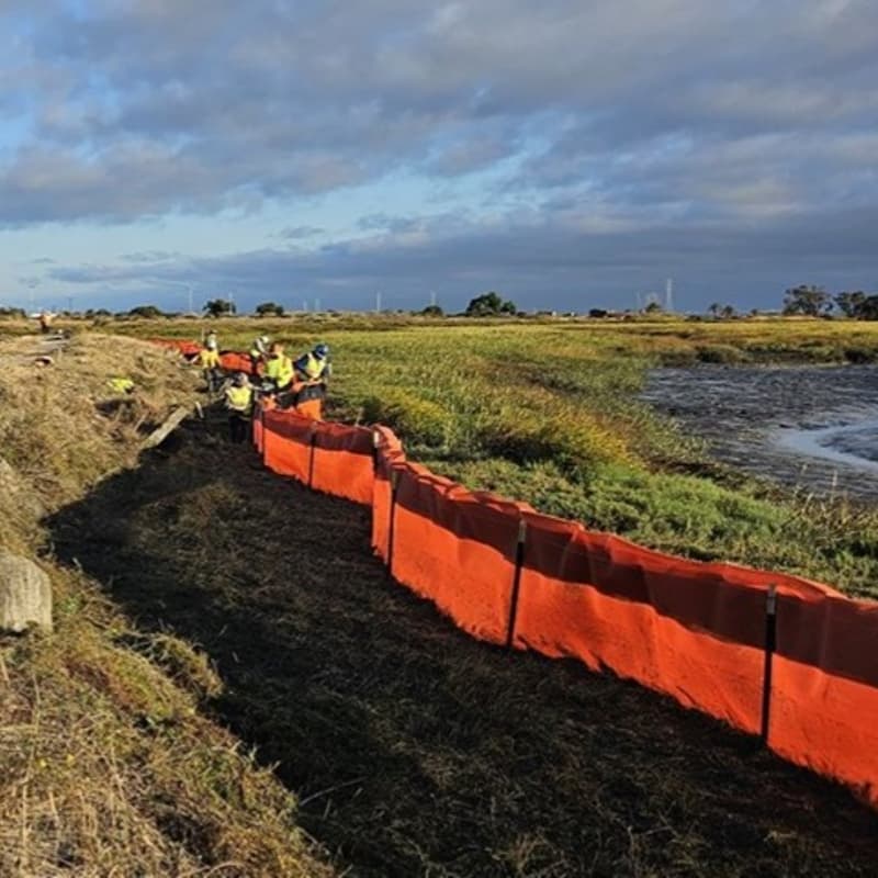 Cover Image for Save the Bay x Stanford Alumni in Sustainability