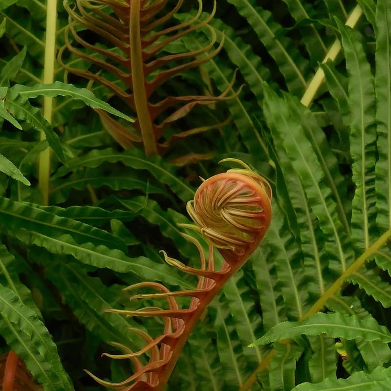 Cover Image for Tend to what's emerging