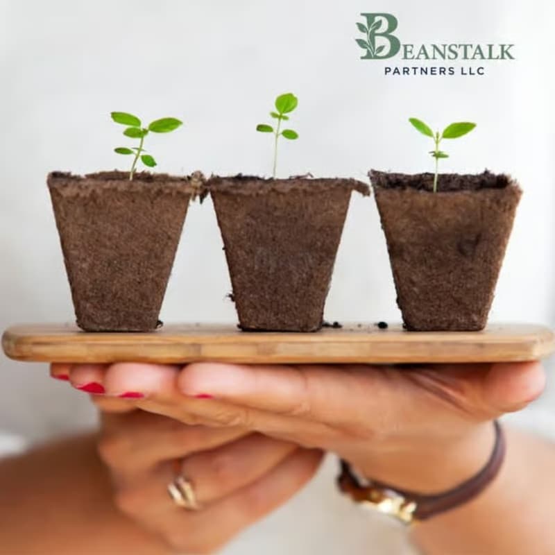 Cover Image for Together We Grow- Understanding Investment Terminology