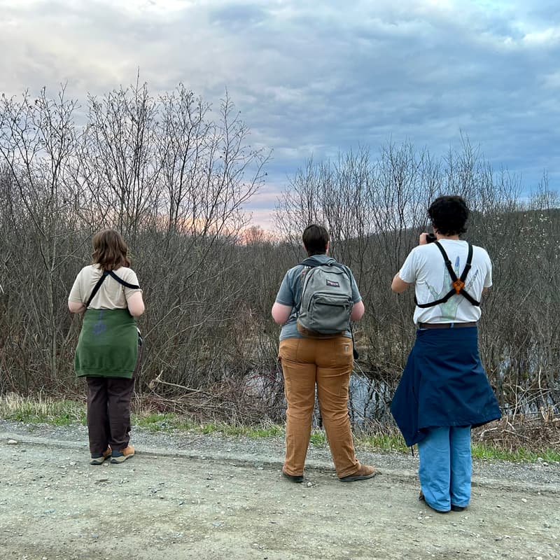 Cover Image for Sunset Scorpion Stroll - New Mexico