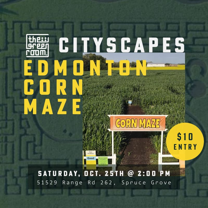 Cover Image for Cityscapes: Lost in the Maze