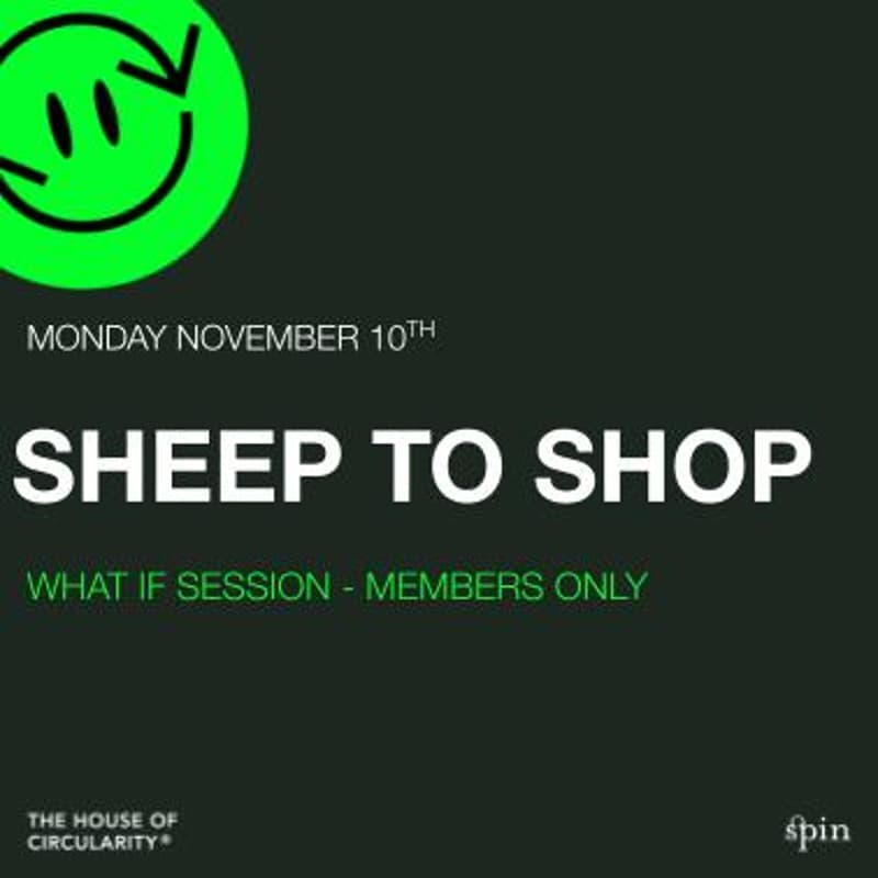 Cover Image for Sheep to Shop 1 - What If
