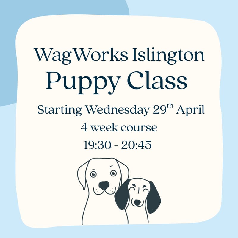 Cover Image for WagWorks Islington Puppy Class