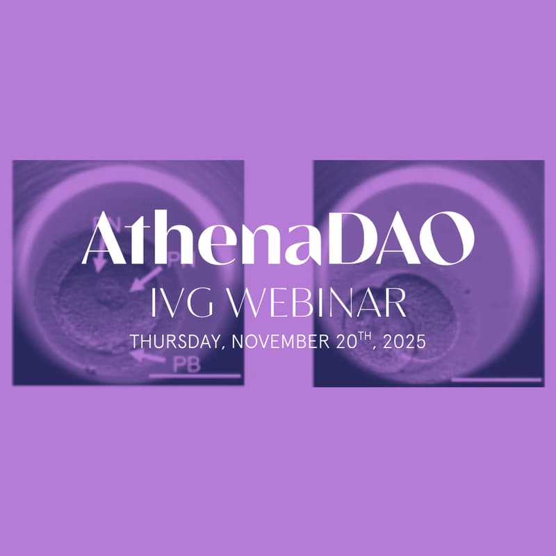 Cover Image for IVG Webinar with Dr. Paula Amato and Author Marina Gerner