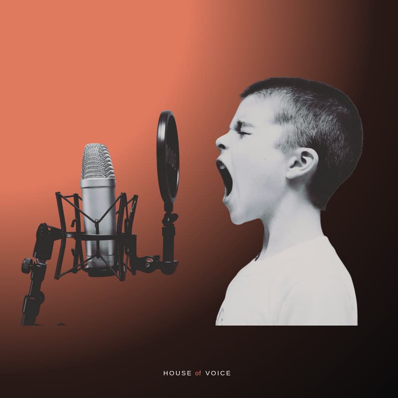 Cover Image for Intro to AI Voice Agents for Nordic Founders