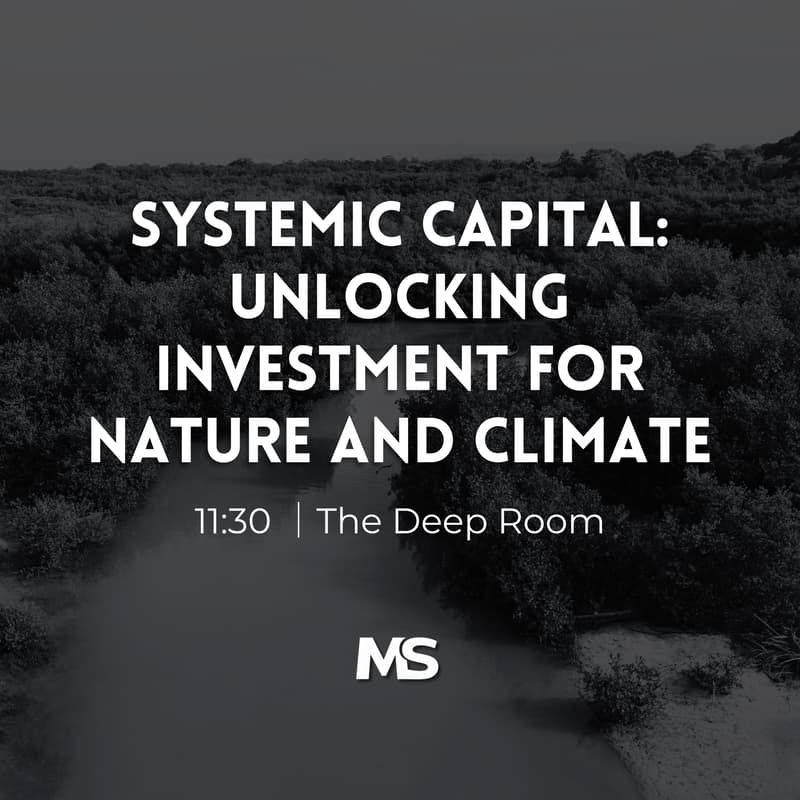 Cover Image for Systemic Capital: Unlocking Investment for Nature and Climate