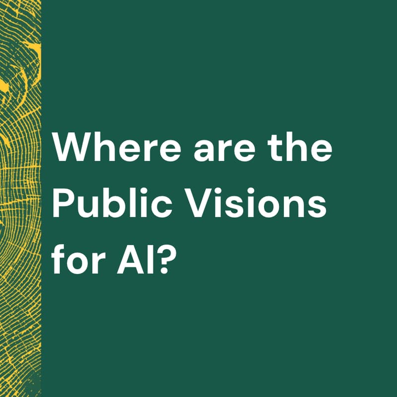 Cover Image for CIP Hosts: Where are the public visions for AI?