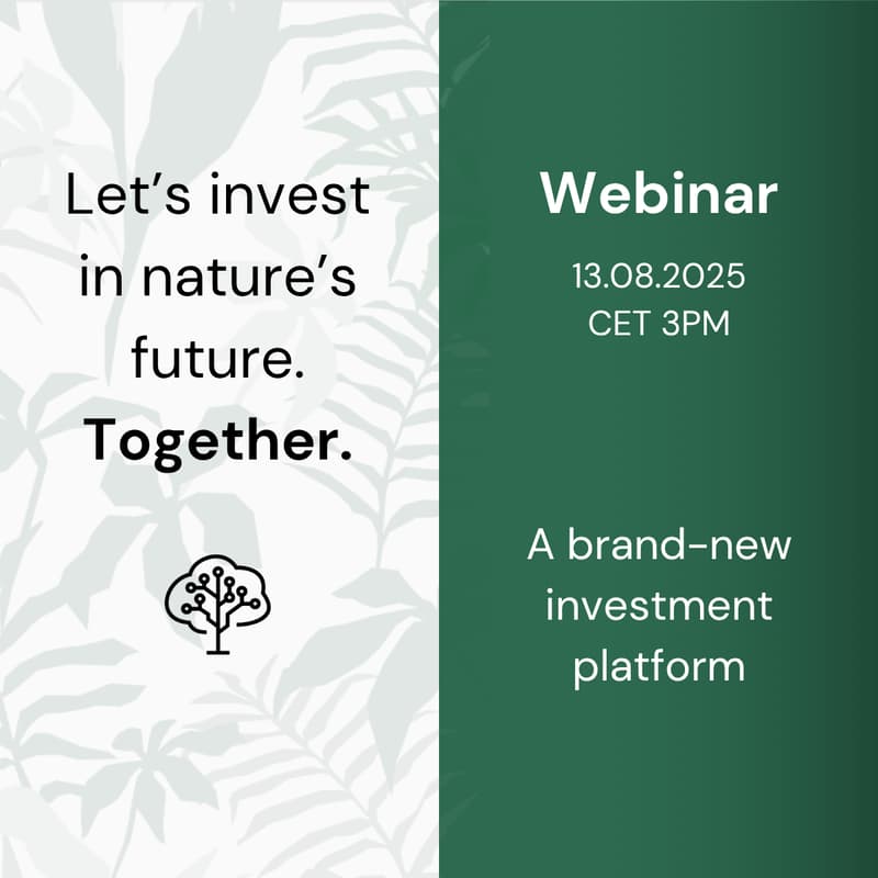 Cover Image for Webinar: Brainforest Canopy Pool