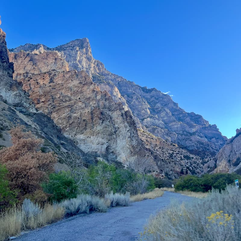 Cover Image for Networking in Nature Hike - Rock Canyon