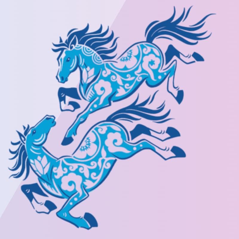 Cover Image for Columbia NorCal Alumni - YMCA Lunar New Year 5K/10K Run/Walk in SF