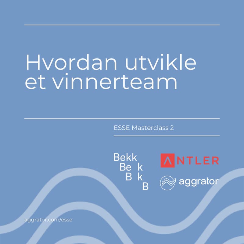 Cover Image for ESSE 2: Hvordan utvikle et vinnerteam