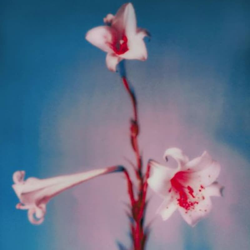 Cover Image for SACRED MIRROR | Virgo Full Moon Eclipse Ritual