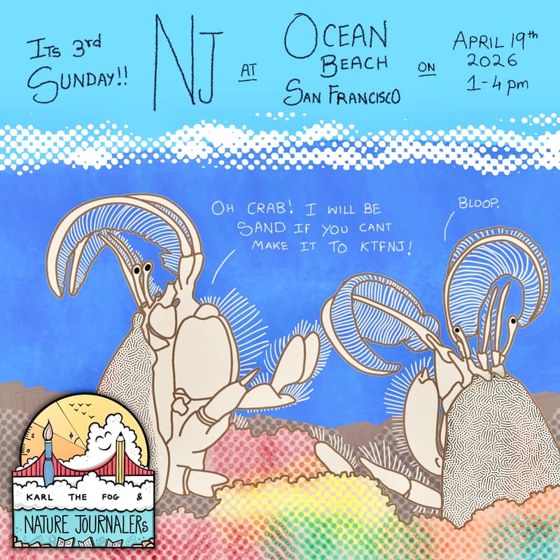 Cover Image for KtfNj - Nature Journaling @Ocean Beach