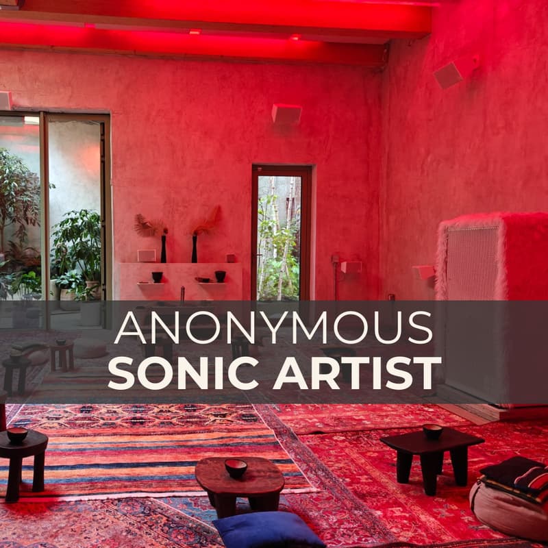 Cover Image for Anonymous Sonic Artist Creates - Open Studio