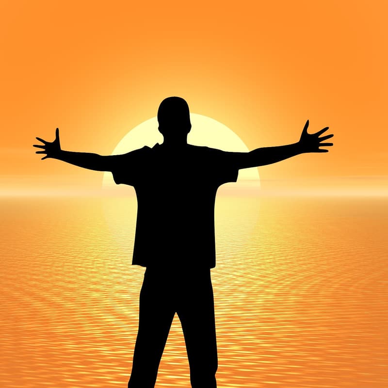 Cover Image for Grenzenlose Fülle