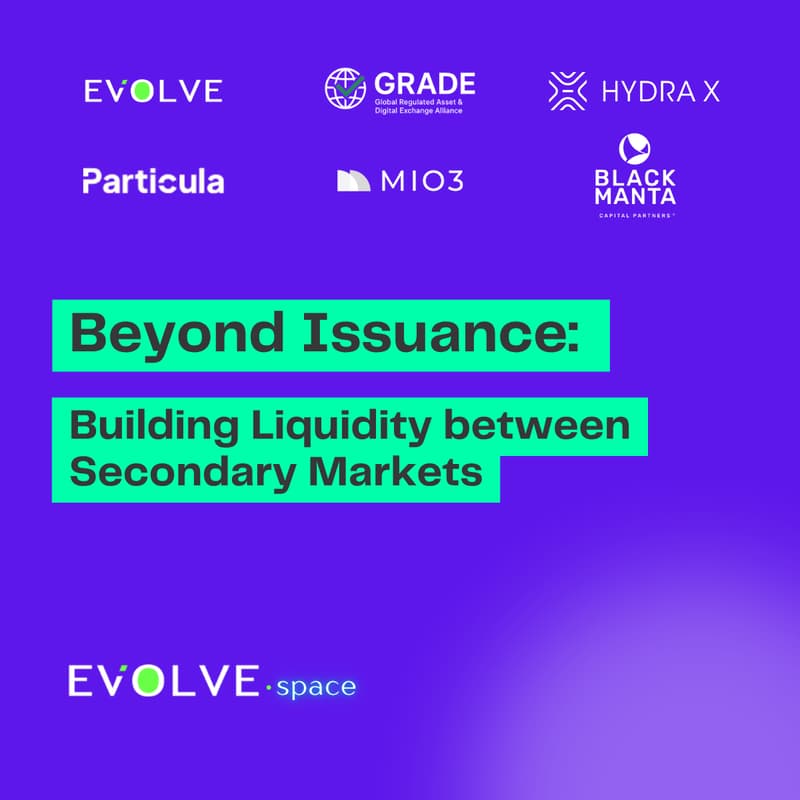 Cover Image for Beyond Issuance: Building Liquidity between Secondary Markets