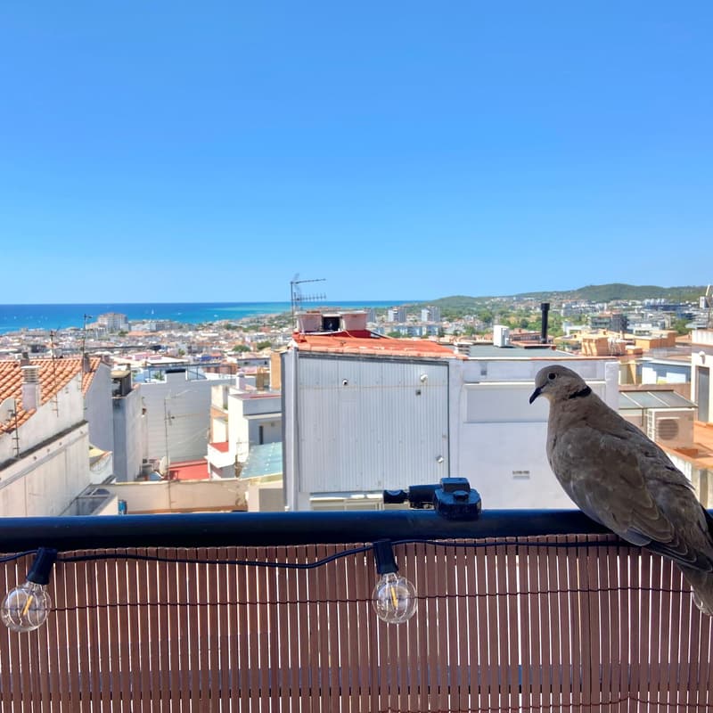 Cover Image for Sitges Home Exchange Meet Up