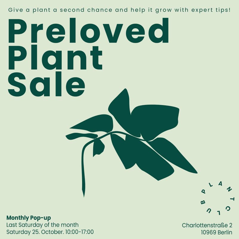 Cover Image for Preloved Plant Sale