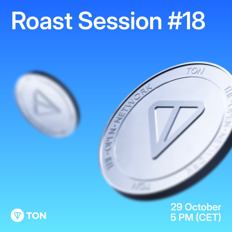 Cover Image for Pitch Roast Session #18|TON Europe Hub