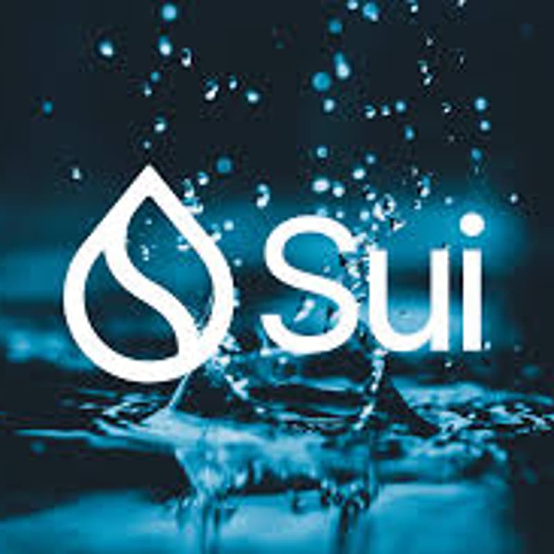 Cover Image for Sui Community MeetUp