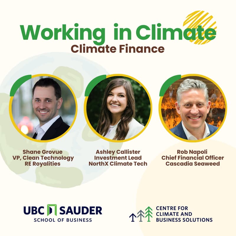 Cover Image for Working in Climate Series: Climate Finance