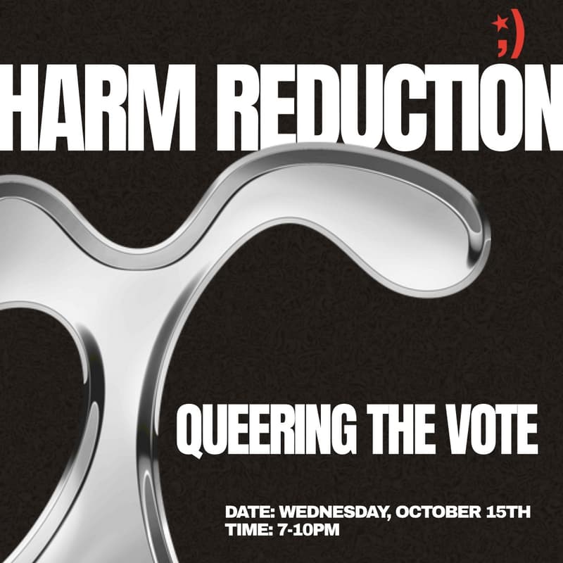 Cover Image for harm reduction for event organizers: queering the vote w/ gays for zohran