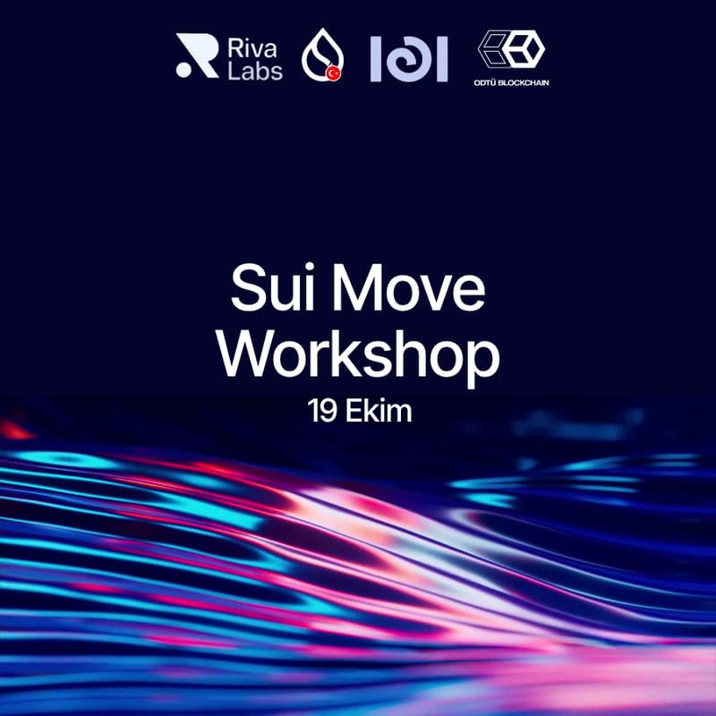 Cover Image for Sui Move Workshop I Ankara