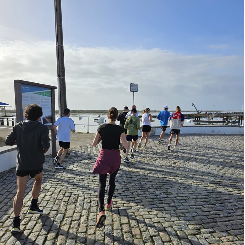 Cover Image for FRC #49 x Mercado Municipal (Sunrise)