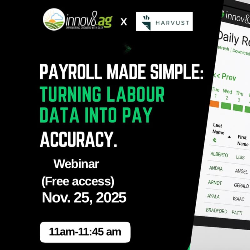 Cover Image for Payroll Made Simple: Turning Labour Data into Pay Accuracy.