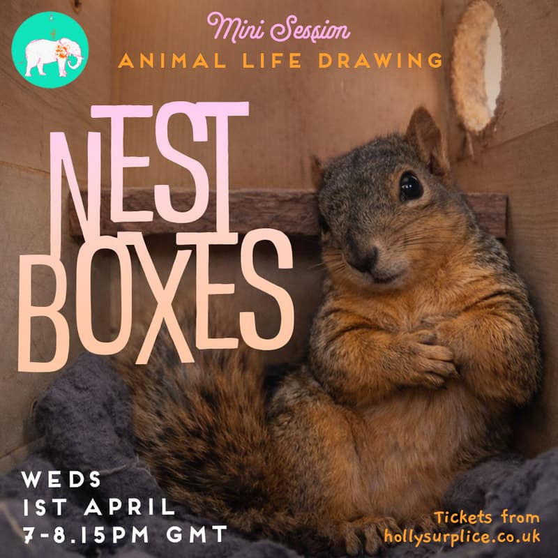 Cover Image for Nest Boxes - Mini Session