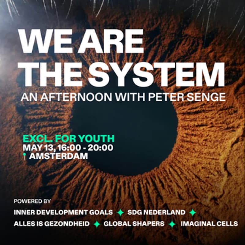 Cover Image for WE ARE THE SYSTEM