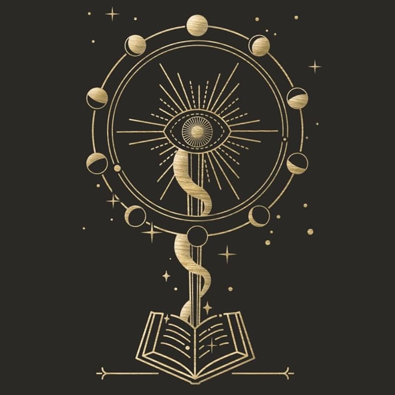 Cover Image for TFF: A Deadly Education