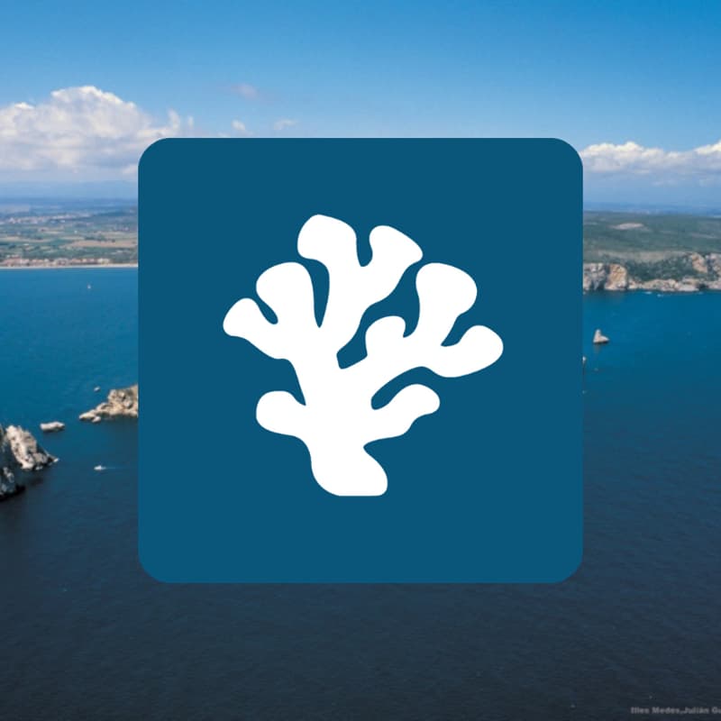 Foto de portada de Illes Medes <> Reefing Project