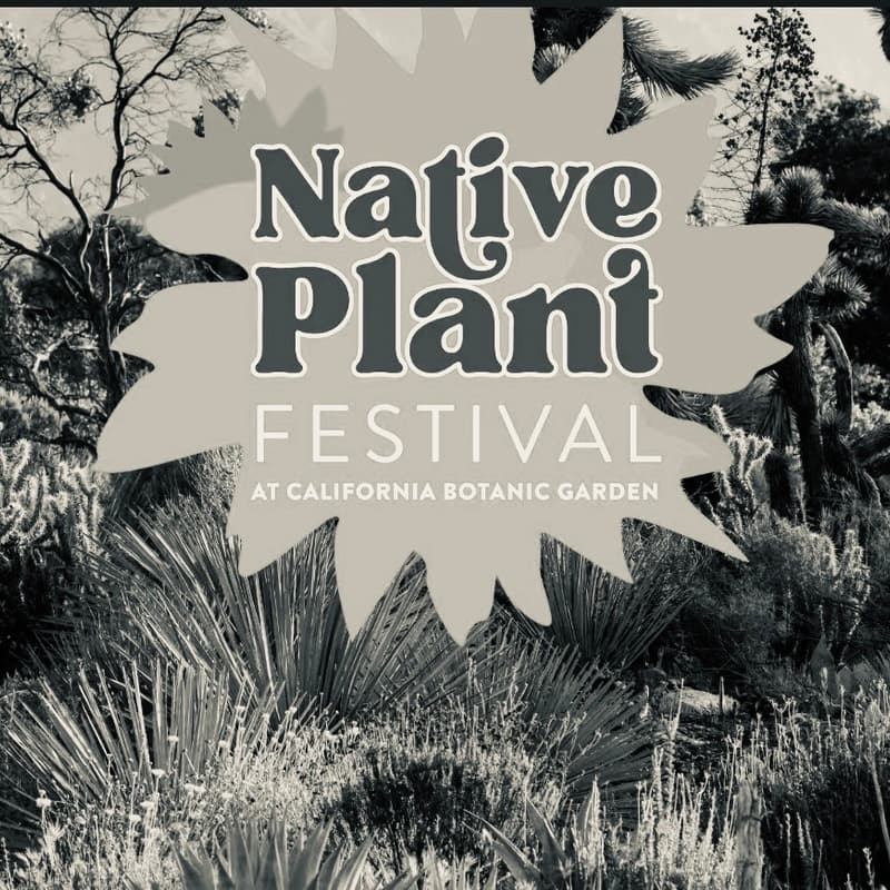 Cover Image for A Native Plant Festival Field Trip For Our Plant Native Laurel Canyon Group