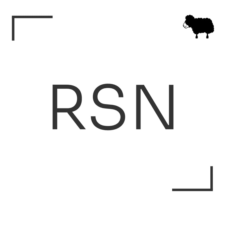 Cover Image for RSN - Raw Speed Networking - EUROPE